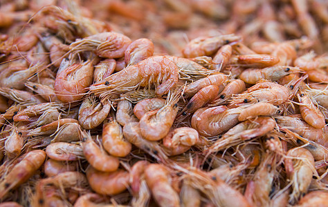 虾 煮熟的虾 一堆小虾烹饪食物柠檬草本植物盘子油炸午餐胡椒美食平底锅图片