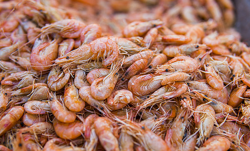 虾 煮熟的虾 一堆小虾油炸盘子餐厅午餐香料海鲜动物平底锅厨房小龙虾图片