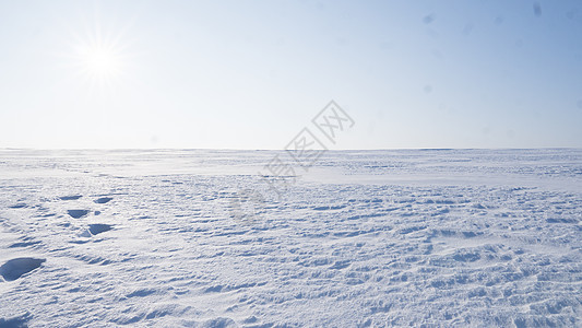 用雪盖的领域在冬季 冬季乡村景观季节地面阳光森林牧场蓝色暴风雪旅行天空太阳图片