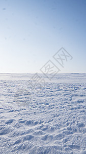 用雪盖的领域在冬季 冬季乡村景观地平线季节太阳木头森林蓝色天气天空地面土地图片