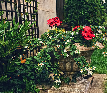 美丽的绿色花园 豪华后院花朵园艺石头植物植物群小路公园天空玫瑰旅行房子图片
