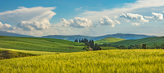 绿色春天全景的美丽和神奇色彩土地卡晴天家园农村梦境蓝色场地天空风景情绪农业图片
