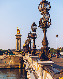 亚力山大三世桥 在阳光明媚的夏日 在塞纳河上旅游目的地灯柱旅行城市雕像景观历史性建筑学首都图片