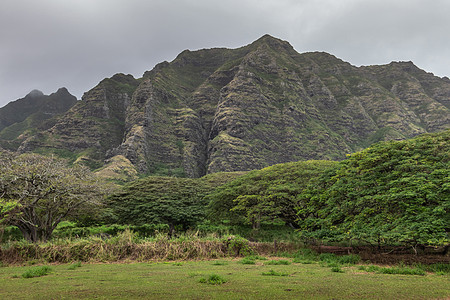 乌夏威夷瓦胡Kuloa牧场附近的树带和山崖图片