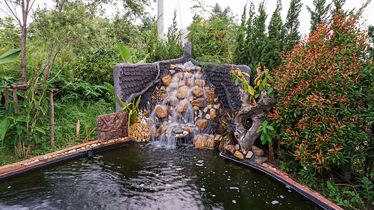 有瀑布喷泉的鱼池 花园瀑布有鱼 岩石 花朵和植物的景观图片