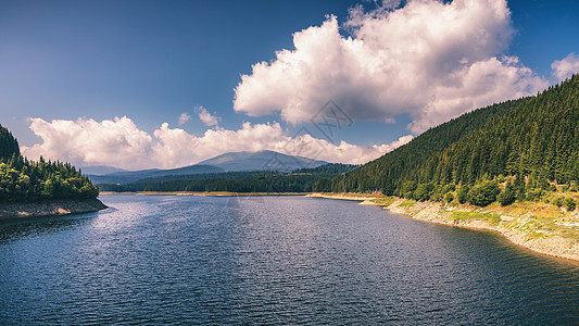 来自Sureanu山的Oasa湖 阿尔巴县 特兰萨尔皮纳 Tran草地旅游全景风景环境松树白云绿洲森林发束图片