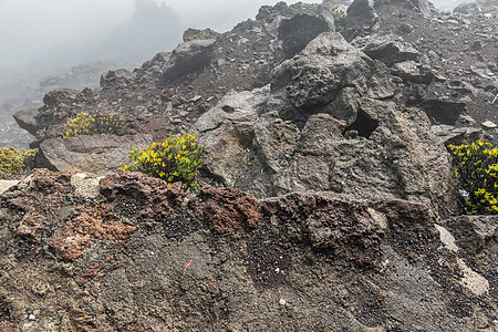 哈莱亚卡拉火山坑边缘 毛伊岛 夏威夷 美国图片