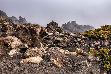 Haleakala火山坑边缘的褐岩石和植被图片
