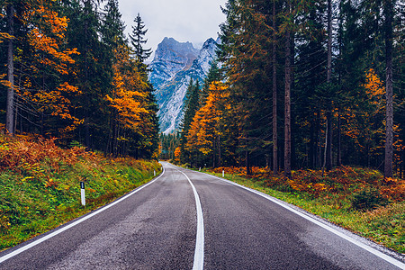 蜿蜒的道路视图 意大利南部阿尔卑斯山的柏油路全景弯路沥青缠绕旅游风景旅行运输山路高山图片