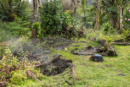 气体和蒸气从H区莱拉尼庄园花园的裂缝中逃脱图片