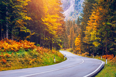 蜿蜒的道路视图 意大利南部阿尔卑斯山的柏油路旅游全景风景旅行高山缠绕沥青弯路森林冒险图片