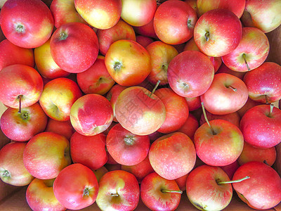 红苹果背景美食饮食果汁营养团体果园绿色食物市场农场图片