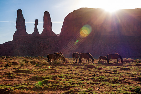 马与犹他州古迹谷的自然美景一起吃草图片