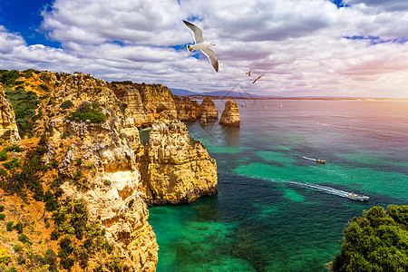 的全景 海鸥飞过岩石晴天悬崖海岸线阳光海景海岸支撑天空旅行蓝色图片