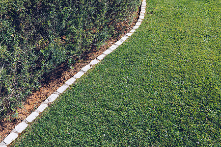 绿色草 作为自然背景使用 绿色草 前线场地景观草坪院子房子绿化围栏草地环境阳光图片