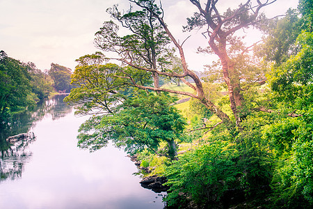 从英国附近桥上取来的Lune河的阳光颜色河月岩石风景河岸公园湖区森林河道溪流图片