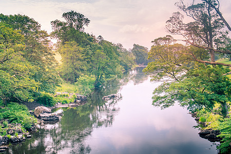 从英国附近桥上取来的Lune河的阳光颜色河月风景湖区溪流森林河岸岩石河道公园图片