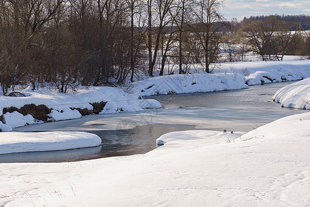 在冬天的河水中 部分被冰覆盖溪流旅行分支机构树木河床旅游季节蓝天漂移蓝色图片