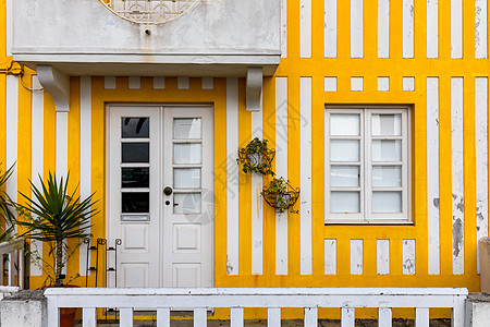 葡萄牙的彩色窗口房子条纹海滩新星城市目的地木头海景房街道花坛图片
