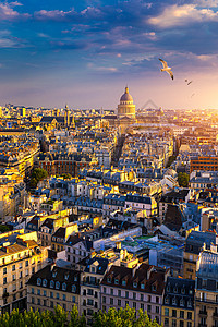 法国巴黎 塞纳河城市景色 夏季色彩与鸟类景观吸引力天际地平线地标全景旅游街道摩天大楼图片