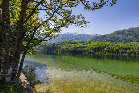 斯洛文尼亚的Bohinj湖 自然中的美丽荒野风景旅行季节目的地山脉森林地标阳光国家图片