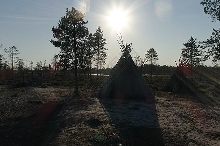 在森林和日落的背景下 黄地是林苔原和苔原的栖息地针叶林雪橇冒险圆圈松树雪堆阴影数字太阳旅行图片