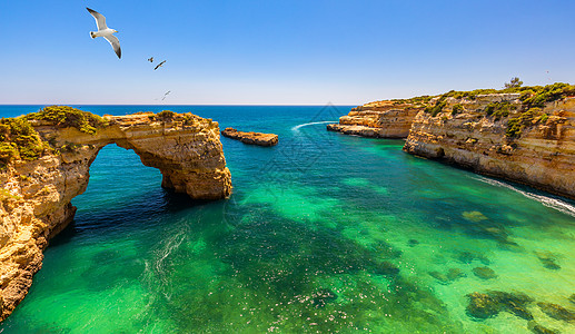 海洋上方的自然拱门 葡萄牙阿尔加夫 阿尔班代拉阿科悬崖海岸岩层观光海鸥海滩沙滩景点石拱门石桥图片