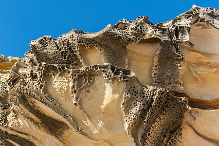澳大利亚悉尼布朗特海滩南悬崖岩石的详情时间侵蚀支撑露头海绵牡蛎图片