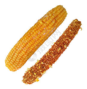 玉米和鳕鱼被烧焦 孤立在白色上图片