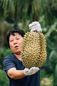 拥有都良的亚洲农民是水果之王情调乡村营养女士榴莲收成美食植物农业食物图片
