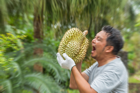 拥有都良的亚洲农民是水果之王工人市场热带食物甜点园艺尖刺异国植物美食图片