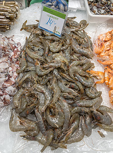 麻辣海鲜新鲜虾虾海洋海鲜龙虾美食贝类餐厅饮食食物牡蛎营养背景