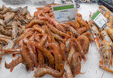 新鲜虾虾龙虾餐厅贝类食物饮食美食海洋海鲜牡蛎营养图片
