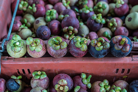 在水果市场 在果实市场 以果美皇后为园艺街道女王异国生产营养饮食食物紫色热带情调图片