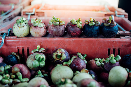 在水果市场 在果实市场 以果美皇后为园艺女王食物热带收成营养情调木头街道生产紫色图片