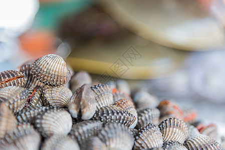 海产食品市场新鲜生海鲜蛤生产海鲜海洋蛤蜊贝类盐水食谱烹饪农场美食图片