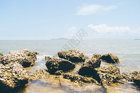 海滩和海洋景观 珊瑚礁岩石海滩阳光牡蛎波浪石灰石支撑珊瑚假期架子晴天沿海图片