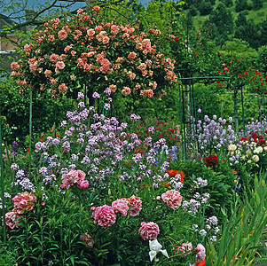 Garden和的房子 在给莱恩玫瑰树木旅行边框花园花朵边界艺术家历史性牡丹背景图片