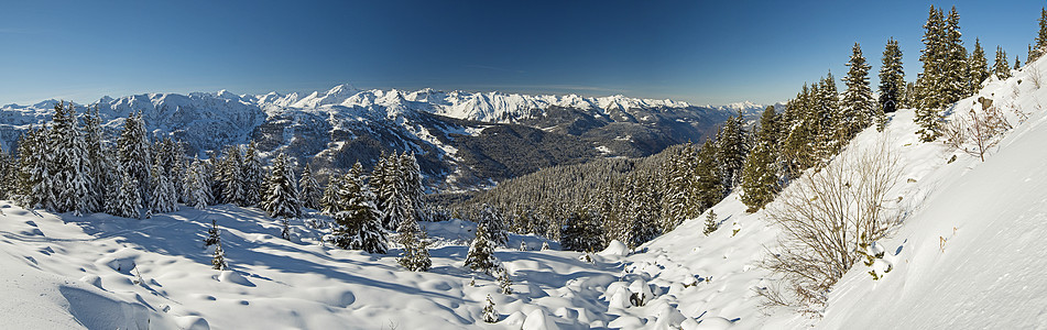 高山山脉下雪覆盖山谷的风景全景森林树木旅行针叶树高山爬坡道松树季节远景蓝色图片