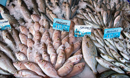 尼斯鱼市食物营养午餐柜台美食托盘海鲜市场餐厅鱼片图片