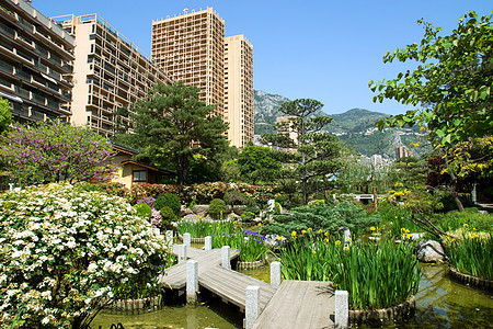 摩纳哥  日本花园天空岩石城市建筑衬套摩天大楼全景公国地标绿色图片