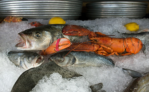 海食品市场食物店铺动物餐厅钓鱼甲壳健康海鲜烹饪图片
