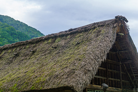 Suganuma村农庄屋顶世界南都农村房子菅沼建筑稻草旅行村庄遗产图片