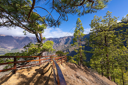 国家公园的松林荒野木头旅游公园国家旅行火山口风景远足山脉图片