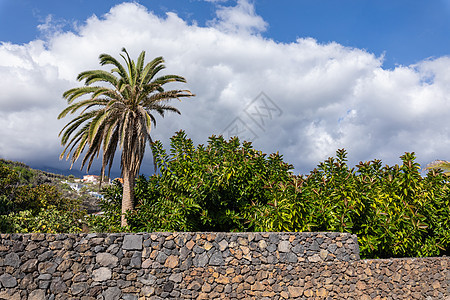 关于西班牙加那利群岛La Palma Canary岛La Palma的 坎昆海滩的看法海洋情调热带房子岩石悬崖花园海滩天空石头图片