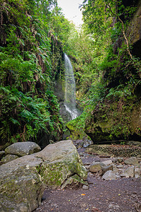 加那利群岛西班牙拉帕尔马Los Tillo的瀑布桂冠荒野自然景观热带叶子风景火山远足丛林国家图片