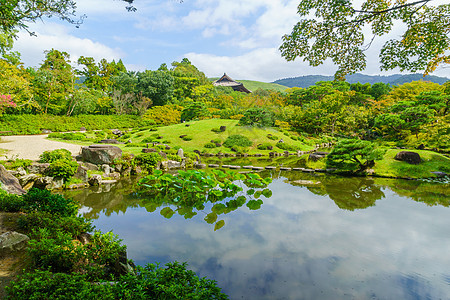 纳拉公园的景观植物旅游旅行吸引力绿色花园地标公园池塘森林图片