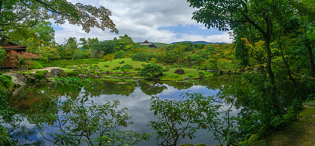 纳拉公园的景观吸引力绿色反射地标森林全景风景花园旅行植物图片