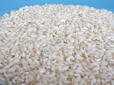 Carnaroli大米食品水稻省份美食食物联盟颗粒状营养饮食图片