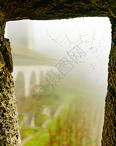在雾天的马诺酒 沙夫豪森建筑网络城市旅行建筑学街道葡萄园房子城堡景观图片